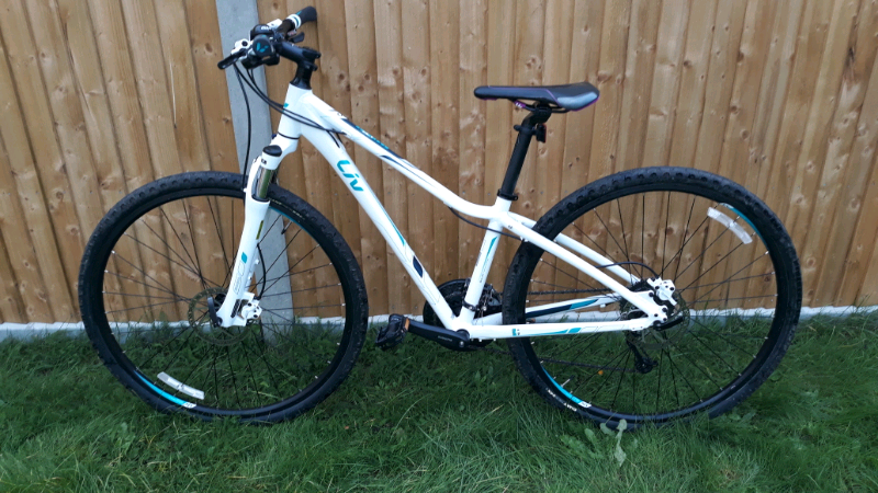 giant rove 2 best price